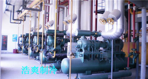 天津防爆型冷庫(kù)工程中的網(wǎng)絡(luò)系統(tǒng) 設(shè)計(jì)與安裝要點(diǎn)解析